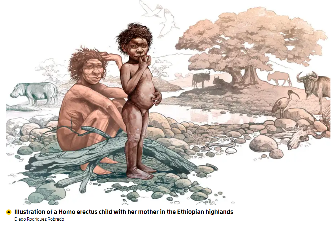 Early humans lived in Ethiopian highlands 2 million years ago