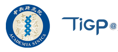 Taiwan International Graduate Program Scholarship 2024