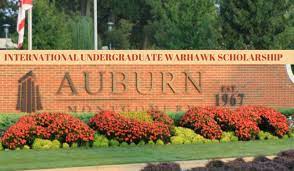 Auburn University International Scholarships 2024 in USA