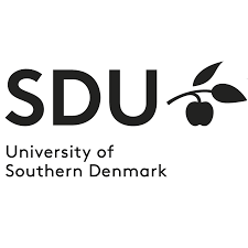 University Of Southern Denmark Scholarship 2024