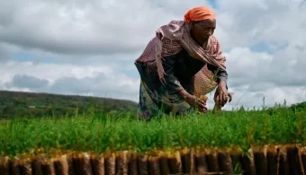 African Development Fund grants $46 million to improve access to water and sanitation for pastoral communities in the Borana region