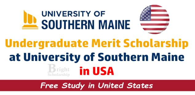 Undergraduate Merit Scholarship 2024-25 in USA