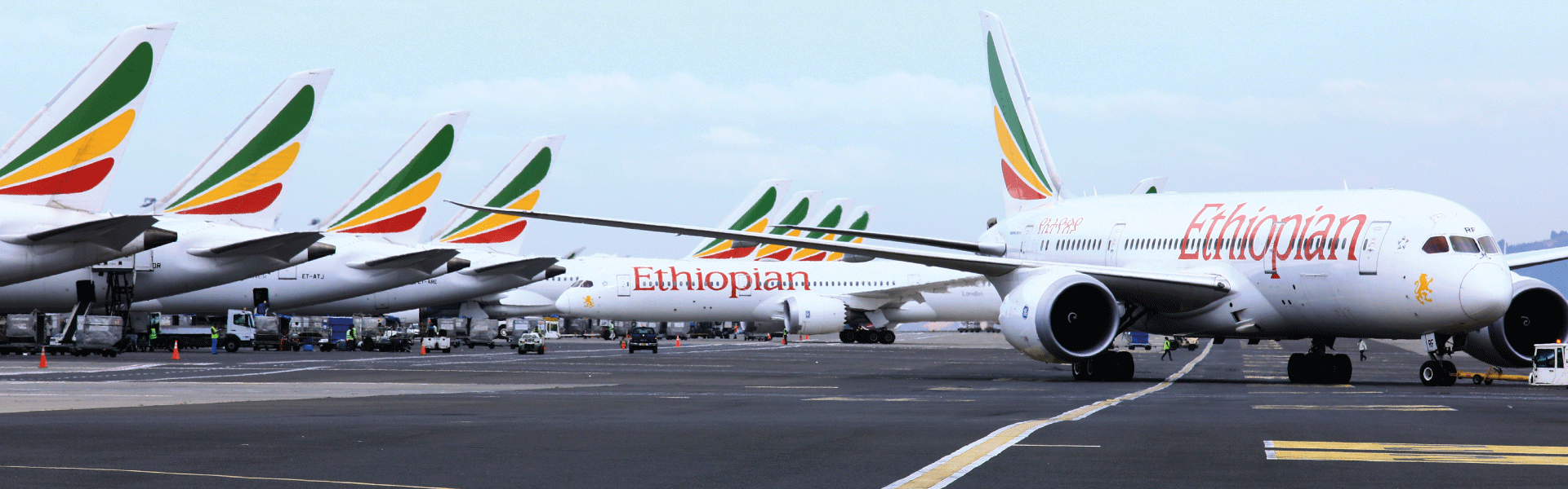 Private Operators Authorized to Offer Regular Passenger and Cargo Flights in Ethiopia