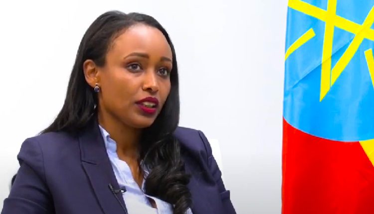 Ethiopia Earns over $4.2bln in Remittance In 10 Months – Planning, Dev’t Minister