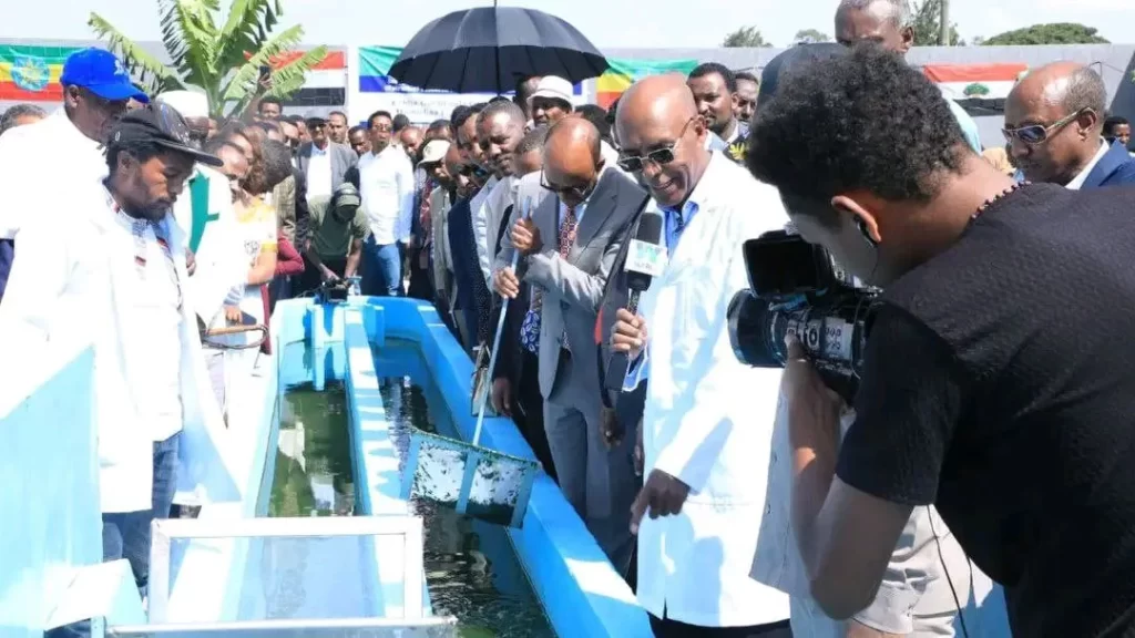 Ethiopia Builds First Algae Production Center for 8.2 Million Birr