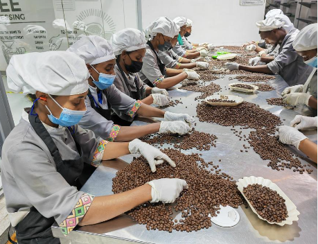 Ethiopia eyes value addition to harness coffee potential amid growing demand from China