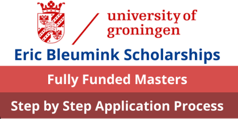 Groningen University Eric Bleumink Scholarship In Netherlands