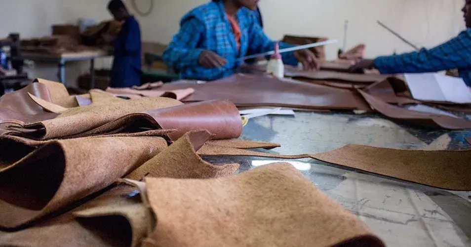 Ethiopian Tanneries Receive Industry Blessing