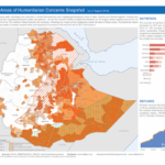 eEthiopian for ethiopians Gallery Image