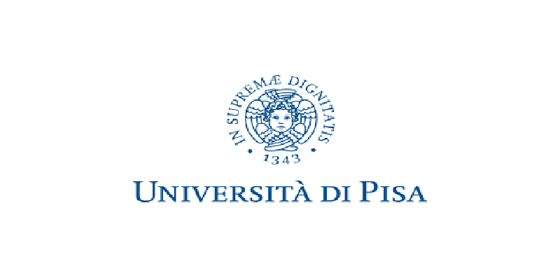 Pisa University IYT Scholarship 2026 in Italy